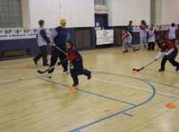 boston bruins street brigade